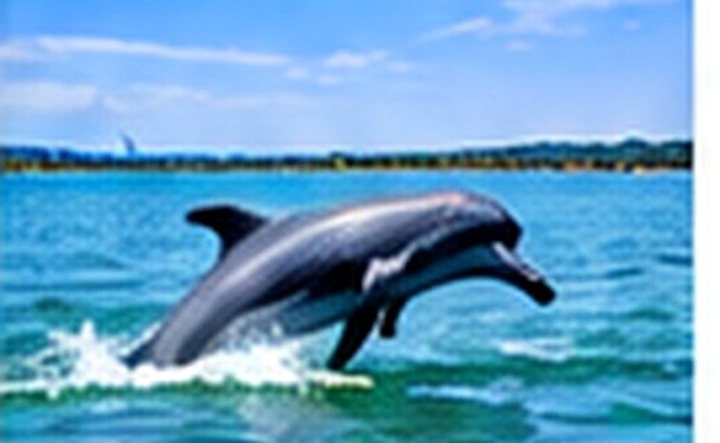 Chilika / Satapada Odisha destination